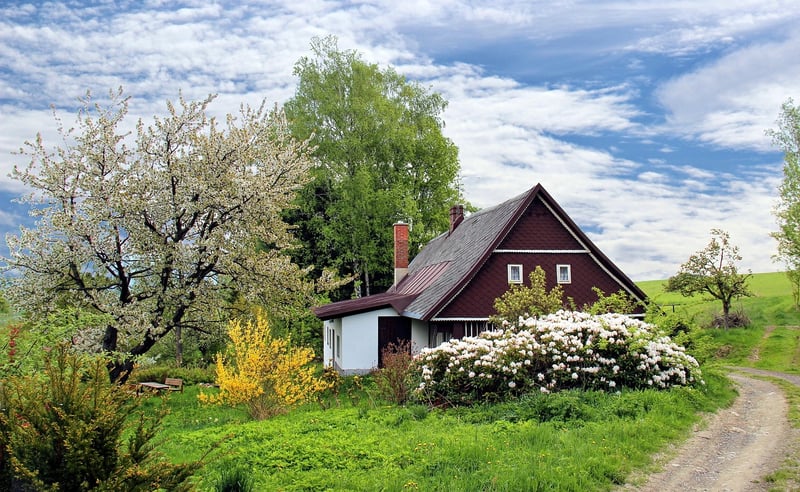Cozy Homestay